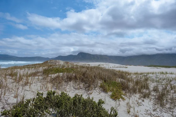 Cape Nature Walker Bay pláž v blízkosti Hermanus Western Cape Jižní Africe — Stock fotografie