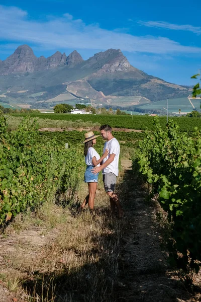 Vineyard landscape at sunset with mountains in Stellenbosch, near Cape Town, South Africa