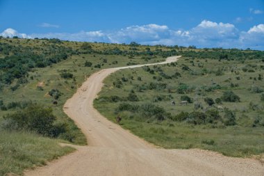 Addo Fil Parkı Güney Afrika, Addo Fil Parkı 'ndaki Fil Ailesi, Su Havuzu' nda Banyo Yapan Fil Ailesi