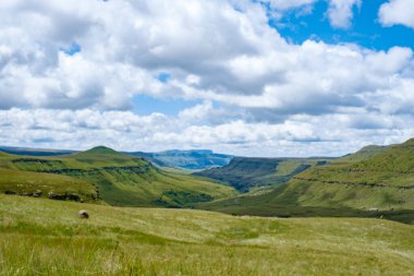 Drakensberg Dev Şatosu Güney Afrika, Drakensberg Dağı, Orta Drakensberg Kwazulu Natal