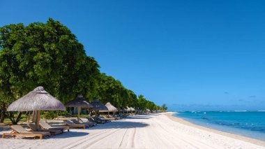 Tropical beach with palm trees and white sand blue ocean and beach beds with umbrella,Sun chairs and parasol under a palm tree at a tropical beac, Le Morne beach Mauritius