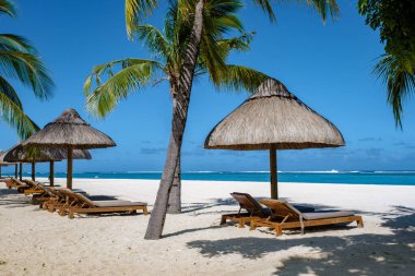 Palmiye ağaçları, beyaz kum mavisi okyanus ve şemsiyeli plaj yatakları, güneş sandalyeleri ve güneş şemsiyeleri tropikal bir beac olan Le Morne plajı Mauritius 'taki palmiye ağacının altında.