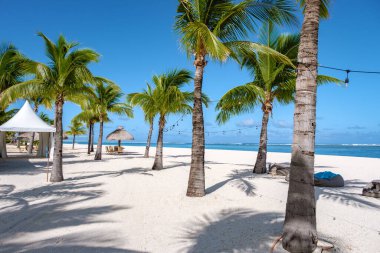 Tropical beach with white sand and palm trees Le Morne Mauritius, white sandy beach with blue ocean and palm trees Mauritius