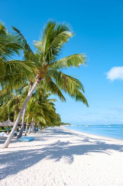 Tropical beach with palm trees and white sand blue ocean and beach beds with umbrella,Sun chairs and parasol under a palm tree at a tropical beac, Le Morne beach Mauritius
