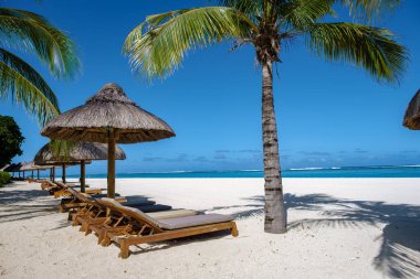 Palmiye ağaçları, beyaz kum mavisi okyanus ve şemsiyeli plaj yatakları, güneş sandalyeleri ve güneş şemsiyeleri tropikal bir beac olan Le Morne plajı Mauritius 'taki palmiye ağacının altında.
