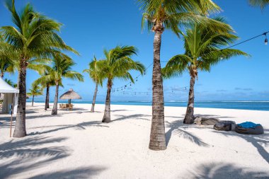 Tropical beach with white sand and palm trees Le Morne Mauritius, white sandy beach with blue ocean and palm trees Mauritius