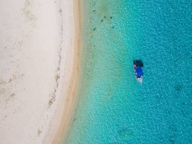 Le Morne plajı Mauritius, Tropikal plaj palmiye ağaçları ve beyaz kum mavisi okyanus ve şemsiyeli plaj yatakları, güneş sandalyeleri ve güneş şemsiyeleri bir palmiye ağacının altında, Le Morne plajı Mauritius 'ta.