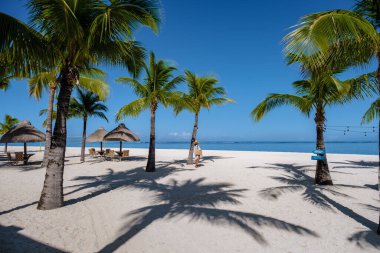 Le Morne beach Mauritius,Tropical beach with palm trees and white sand blue ocean and beach beds with umbrella,Sun chairs and parasol under a palm tree at a tropical beac, Le Morne beach Mauritius