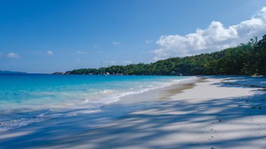 Praslin Seyşeller tropikal adası. Plajları, palmiye ağaçları, Anse Lazio plajı, Palmiye ağacı Anse Lazio, Seyşeller 'deki terk edilmiş tropikal ada rüya plajı.