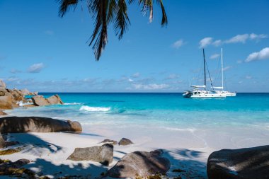 Praslin Seyşeller tropikal adası. Plajları, palmiye ağaçları, Anse Lazio plajı, Palmiye ağacı Anse Lazio, Seyşeller 'deki terk edilmiş tropikal ada rüya plajı.