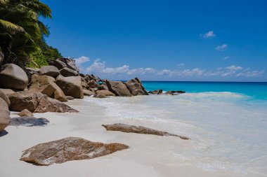 Praslin Seyşeller tropikal adası. Plajları, palmiye ağaçları, Anse Lazio plajı, Palmiye ağacı Anse Lazio, Seyşeller 'deki terk edilmiş tropikal ada rüya plajı.