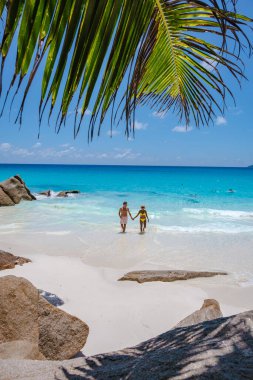 Praslin Seyşeller tropikal adasında plajlar ve palmiye ağaçları var. Orta yaşlı birkaç erkek ve kadın tatilde Seyşeller 'de Anse Lazio Praslin Seyşeller' in tropik plajını ziyaret ediyor.