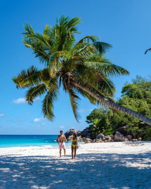 Praslin Seyşeller tropikal adasında plajlar ve palmiye ağaçları var. Orta yaşlı birkaç erkek ve kadın tatilde Seyşeller 'de Anse Lazio Praslin Seyşeller' in tropik plajını ziyaret ediyor.