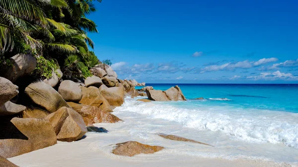 Praslin Seyşeller tropikal adası. Plajları, palmiye ağaçları, Anse Lazio plajı, Palmiye ağacı Anse Lazio, Seyşeller 'deki terk edilmiş tropikal ada rüya plajı.