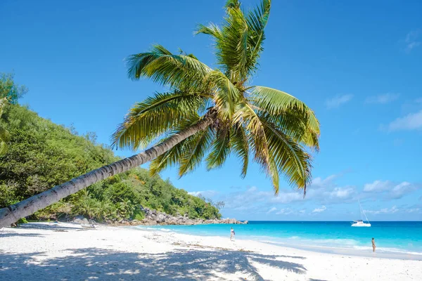 Praslin Seychelles tropical island with withe beaches and palm trees, Anse Lazio beach ,Palm tree stands over deserted tropical island dream beach in Anse Lazio, Seychelles — Stok fotoğraf