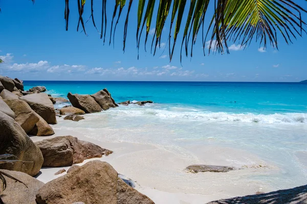 Praslin Seychelles tropical island with withe beaches and palm trees, Anse Lazio beach ,Palm tree stands over deserted tropical island dream beach in Anse Lazio, Seychelles — ストック写真