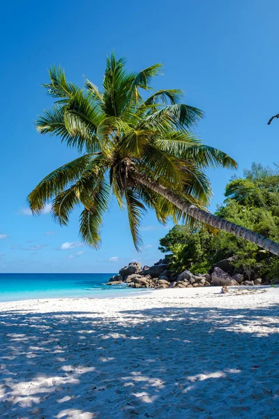 Praslin Σεϋχέλλες τροπικό νησί με παραλίες και φοίνικες, Anse Lazio παραλία, Palm tree στέκεται πάνω από έρημο τροπικό νησί όνειρο παραλία στο Anse Lazio, Σεϋχέλλες — Φωτογραφία Αρχείου