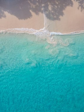 Praslin Seyşeller tropikal adası. Plajları, palmiye ağaçları, Anse Lazio plajı, Palmiye ağacı Anse Lazio, Seyşeller 'deki terk edilmiş tropikal ada rüya plajı.. 
