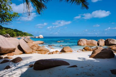 Praslin Seyşeller tropikal adası. Plajları, palmiye ağaçları, Anse Lazio plajı, Palmiye ağacı Anse Lazio, Seyşeller 'deki terk edilmiş tropikal ada rüya plajı.. 