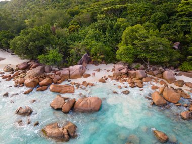 Praslin Seyşeller tropikal adası. Plajları, palmiye ağaçları, Anse Lazio plajı, Palmiye ağacı Anse Lazio, Seyşeller 'deki terk edilmiş tropikal ada rüya plajı.. 