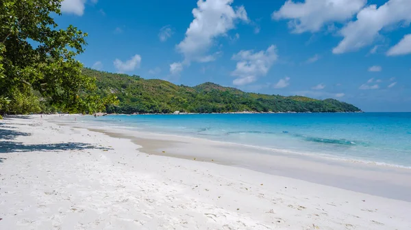 Praslin Seyşeller tropikal adası. Plajları, palmiye ağaçları, Anse Lazio plajı, Palmiye ağacı Anse Lazio, Seyşeller 'deki terk edilmiş tropikal ada rüya plajı.