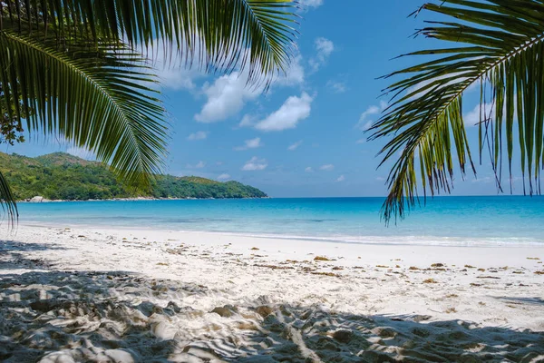 Praslin Seychelles tropical island with withe beaches and palm trees, Anse Lazio beach ,Palm tree stands over deserted tropical island dream beach in Anse Lazio, Seychelles —  Fotos de Stock