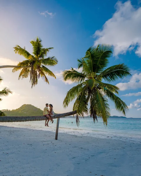 Praslin Seychelles tropical island with withe beaches and palm trees, couple men and woman in hammock swing on the beach under a palm tree at Anse Volber Seychelles — Zdjęcie stockowe