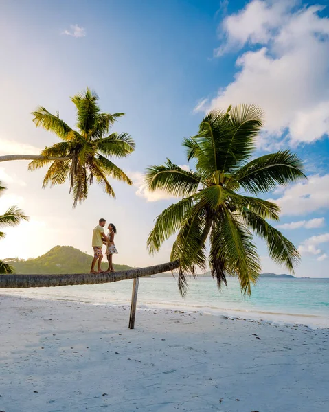 Praslin Seychelles tropical island with withe beaches and palm trees, couple men and woman in hammock swing on the beach under a palm tree at Anse Volber Seychelles — Zdjęcie stockowe