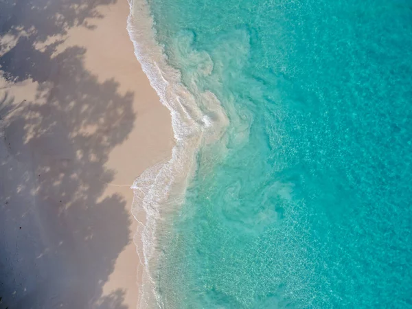 Praslin Seszele Tropikalna Wyspa Plażami Palmami Plaża Anse Lazio Palma — Zdjęcie stockowe