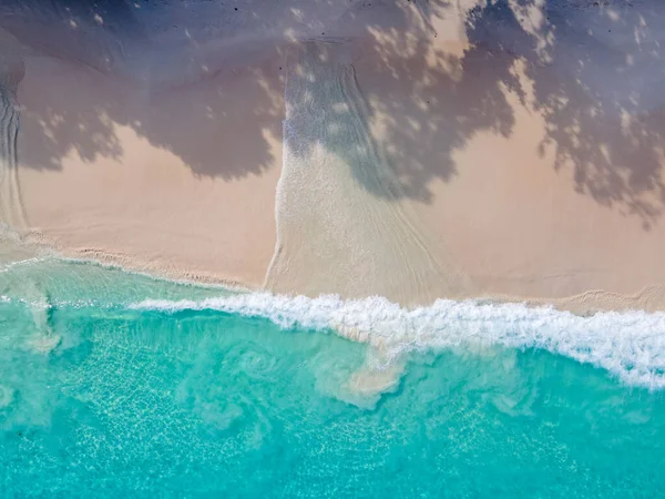 ビーチやヤシの木があるプラスリンセイシェル熱帯島 Anseラツィオビーチ パームツリーは Anseラツィオ セイシェルの無人熱帯島の夢のビーチの上に立っています — ストック写真