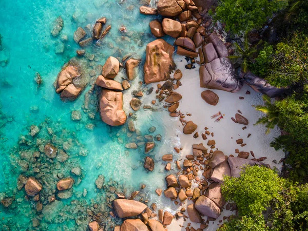 Praslin Seychelles Tropical Island Withe Beaches Palm Trees Anse Lazio — Zdjęcie stockowe