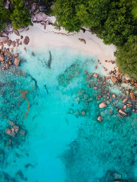 Praslin Seychelles Tropical Island Withe Beaches Palm Trees Anse Lazio — Fotografia de Stock