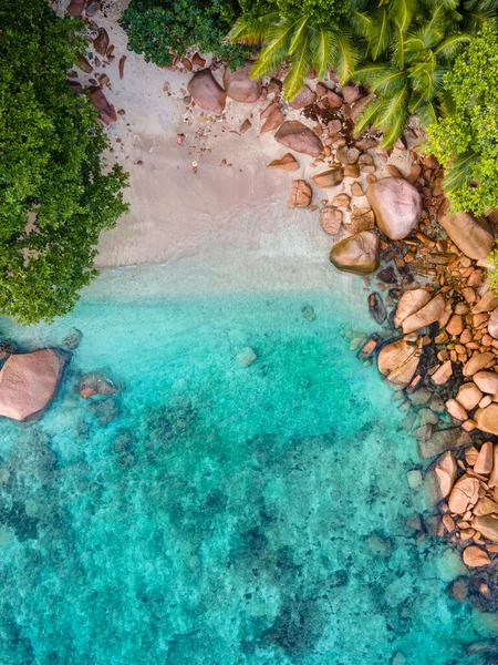 Praslin Seychelles Tropical Island Withe Beaches Palm Trees Anse Lazio — ストック写真