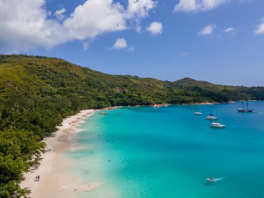 Praslin Seyşeller tropikal adası. Plajları, palmiye ağaçları, Anse Lazio plajı, Palmiye ağacı Anse Lazio, Seyşeller 'deki terk edilmiş tropikal ada rüya plajı.