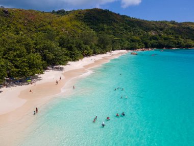 Praslin Seyşeller tropikal adası. Plajları, palmiye ağaçları, Anse Lazio plajı, Palmiye ağacı Anse Lazio, Seyşeller 'deki terk edilmiş tropikal ada rüya plajı.