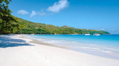 Praslin Seyşeller tropikal adası. Plajları, palmiye ağaçları, Anse Lazio plajı, Palmiye ağacı Anse Lazio, Seyşeller 'deki terk edilmiş tropikal ada rüya plajı.