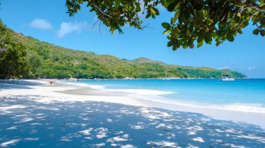 Praslin Seyşeller tropikal adası. Plajları, palmiye ağaçları, Anse Lazio plajı, Palmiye ağacı Anse Lazio, Seyşeller 'deki terk edilmiş tropikal ada rüya plajı.