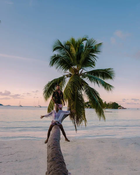ビーチやヤシの木とプラスリンセイシェルの熱帯の島,日没を見てヤシの木とカップルの男性と女性 — ストック写真