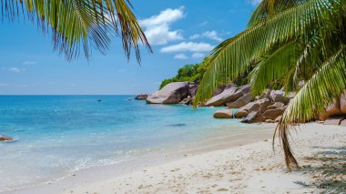 Praslin Seyşeller tropikal adası. Plajları, palmiye ağaçları, Anse Lazio plajı, Palmiye ağacı Anse Lazio, Seyşeller 'deki terk edilmiş tropikal ada rüya plajı.