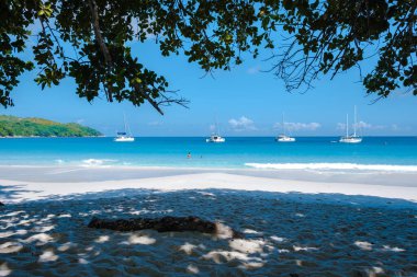 Praslin Seyşeller tropikal adası. Plajları, palmiye ağaçları, Anse Lazio plajı, Palmiye ağacı Anse Lazio, Seyşeller 'deki terk edilmiş tropikal ada rüya plajı.