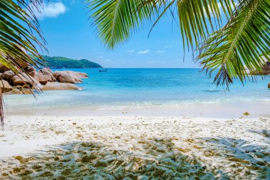 Praslin Seyşeller tropikal adası. Plajları, palmiye ağaçları, Anse Lazio plajı, Palmiye ağacı Anse Lazio, Seyşeller 'deki terk edilmiş tropikal ada rüya plajı.