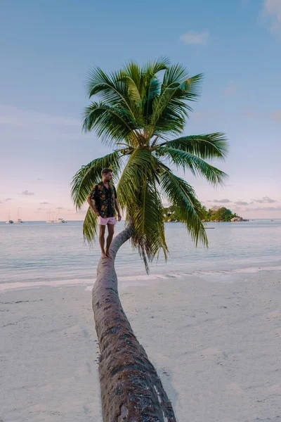 Praslin Seychelles tropical island with withe beaches and palm trees, couple men watching sunset on a palm tree, men walking on palm tree Anse Volbert Praslin Seychelles — Stockfoto