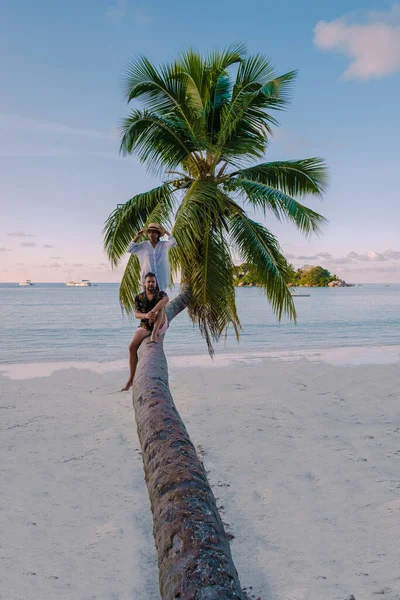 Praslin Seychelles tropical island with withe beaches and palm trees, couple men and woman with palmtree watching sunset — Stock Photo, Image