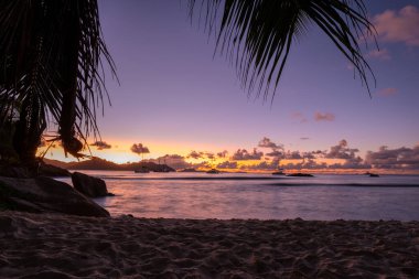 Anse Patates plajı, La Digue Adası, Seyshelles, mavi okyanuslu ve palmiye ağaçlı beyaz plaj, sahilde gün batımı.