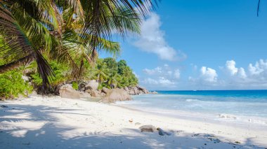 Anse Patates plajı, La Digue Adası, Seyshelles, mavi okyanuslu ve palmiye ağaçlı beyaz plaj