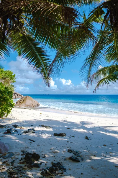 Anse Patates beach, La Digue Island, Seyshelles, white beach with blue ocean and palm trees — стокове фото