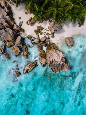 Anse Patates plajı, La Digue Adası, Seyshelles, mavi okyanuslu ve palmiye ağaçlı beyaz plaj