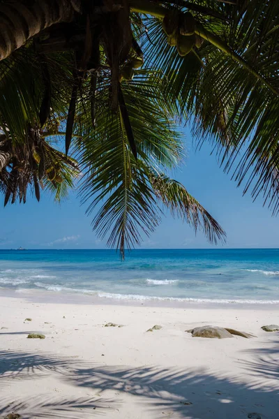 Anse Patates beach, La Digue Island, Seyshelles, white beach with blue ocean and palm trees — Fotografia de Stock