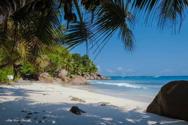 Anse Patates海滩、 La Digue岛、 Seyshelles 、有蓝色海洋和棕榈树的白色海滩 — 图库照片