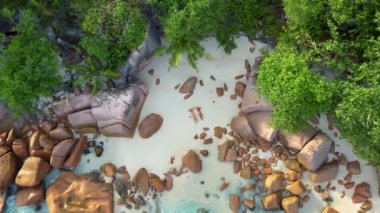 Praslin Seychelles tropical island with withe beaches and palm trees, couple men and women mid age on vacation at the Seychelles visiting the tropical beach of Anse Lazio Praslin Seychelles drone view